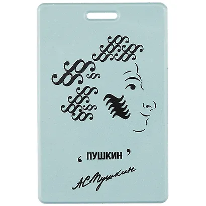 Чехол для карточек Знаковый Пушкин (ДГ2021-301) - фото 1