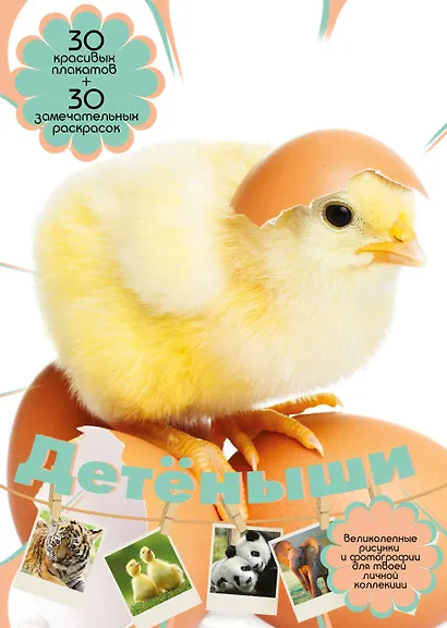 Детёныши: плакаты и раскраски - фото 1