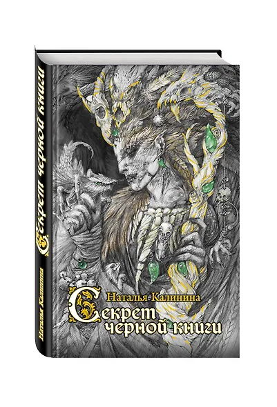 Секрет черной книги - фото 3