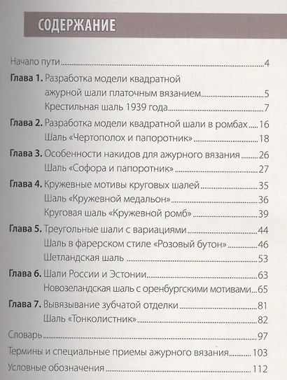 Изысканные кружевные шали: Коллекция старинных узоров со всего мира: Спицы - фото 2