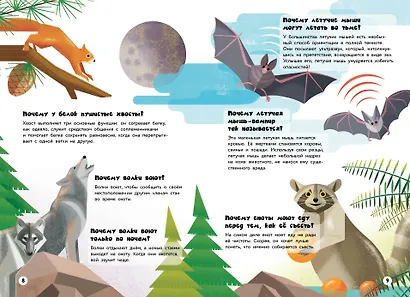 200 ПОЧЕМУ. Вопросы и ответы о животных - фото 5