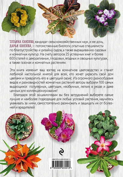 Комнатные растения - фото 2