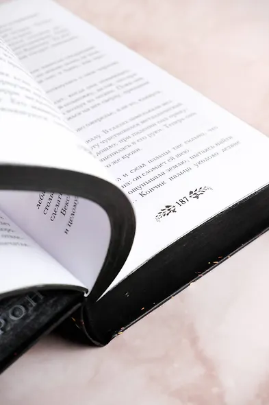 Трон падших - фото 14