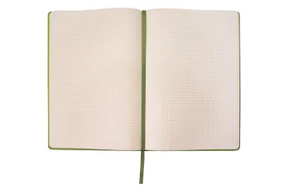 Книга для записей А4- 96л кл. "Joy Book. Чай матча" иск.кожа, тонир.блок, скругл.углы, ляссе, резинка - фото 5