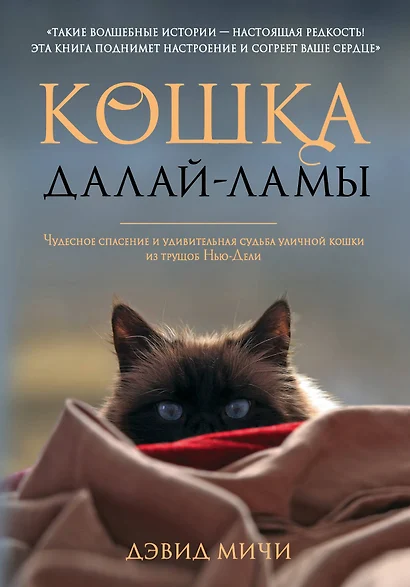 Кошка Далай-Ламы. Чудесное спасение и удивительная судьба уличной кошки из трущоб Нью-Дели - фото 1