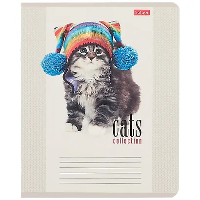 Тетрадь в клетку Hatber, "Кототерапия", 12 листов, в ассортименте - фото 3