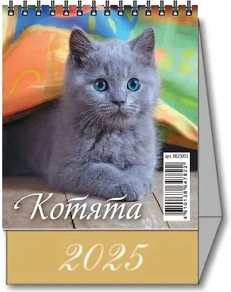 Календарь 2025г 100*140 "КОТЯТА" настольный, домик - фото 1