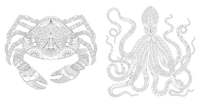 Чудеса природы. Золотая коллекция любимых иллюстраций - фото 8