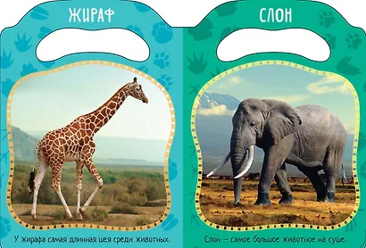 Вот так звери! - фото 2