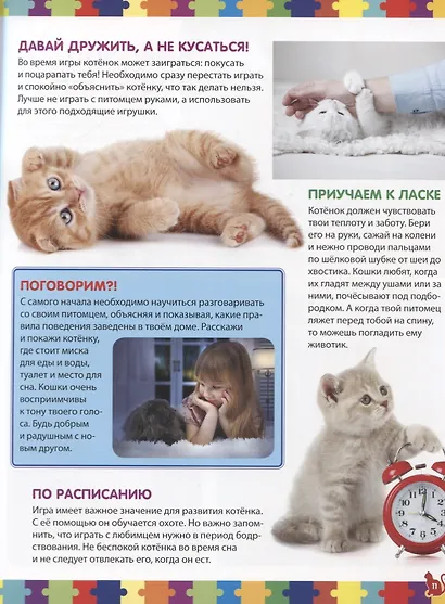 Кошки. Детская энциклопедия - фото 6