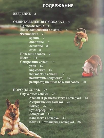 Собаки - фото 2