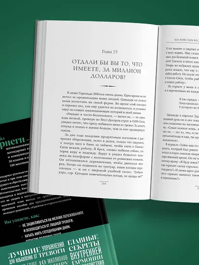 Как перестать беспокоиться и начать жить. Оригинальное издание - фото 12