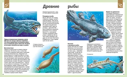 Универсальная школьная энциклопедия - фото 10