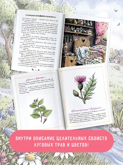 Фифа и магия луговых трав - фото 5