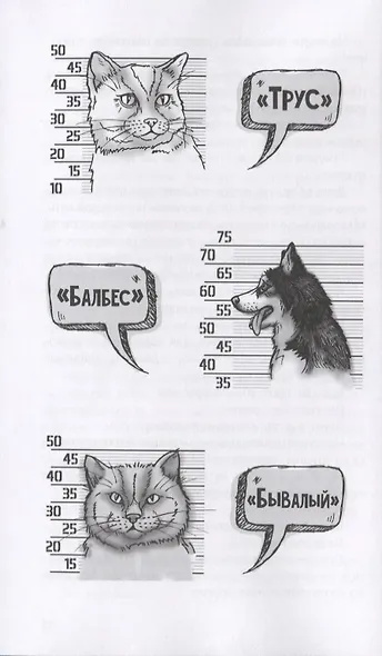 Жизнеописание замечательного пса (ЖЗП). Дневник Халка - фото 4