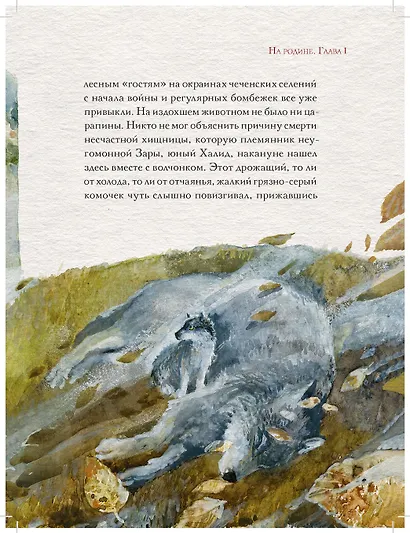 Абрек. Повесть о настоящем волке - фото 3