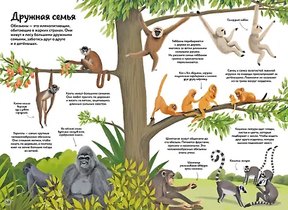 Большая книга о природе в картинках - фото 8