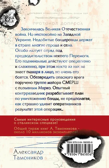 Бой с невидимкой - фото 2