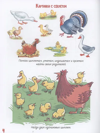 Лето в деревне - фото 5