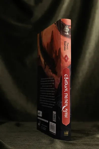 Светлый пепел луны. Книга 4. Новелла - фото 11