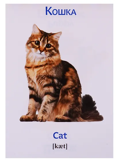 Набор развивающих книг "Растем вместе. Английский язык" (комплект из 8 книг) - фото 2