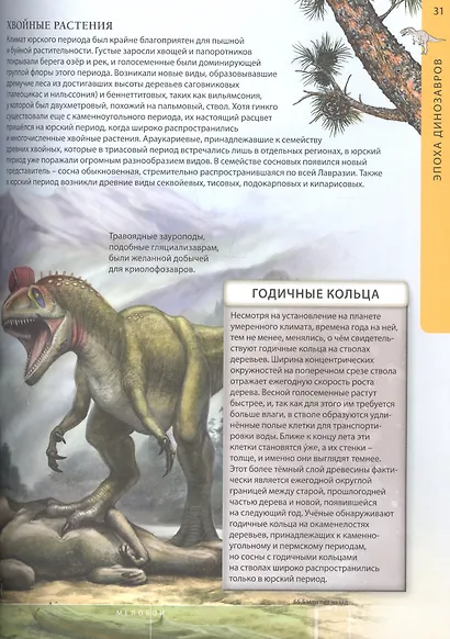 Динозавры – властелины планеты. Путешествие в доисторический мир. Детская энциклопедия - фото 7