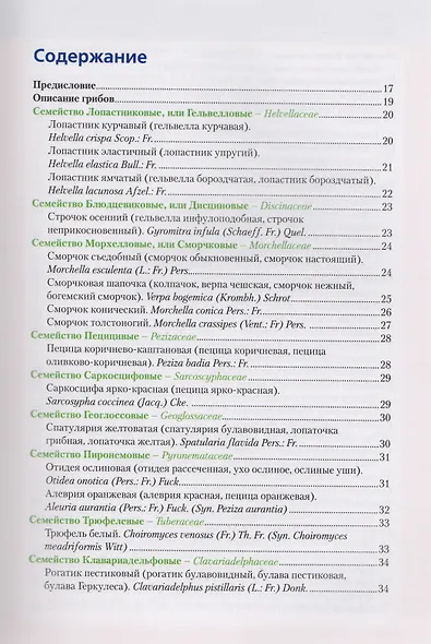 Малоизвестные съедобные грибы - фото 2