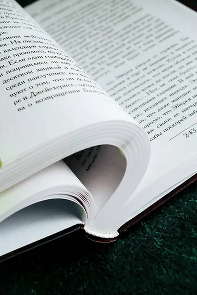 Пламя и кровь: Кровь драконов - фото 12