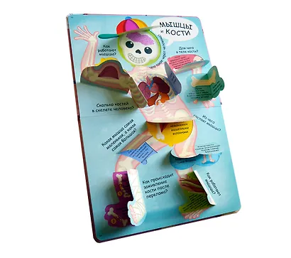 Волшебные окошки. Моё тело - фото 2