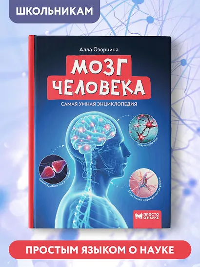 Мозг человека: самая умная энциклопедия - фото 6