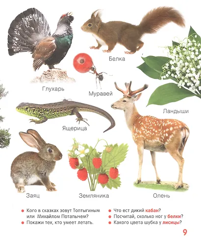 Животные. Твоя первая фотокнига - фото 4