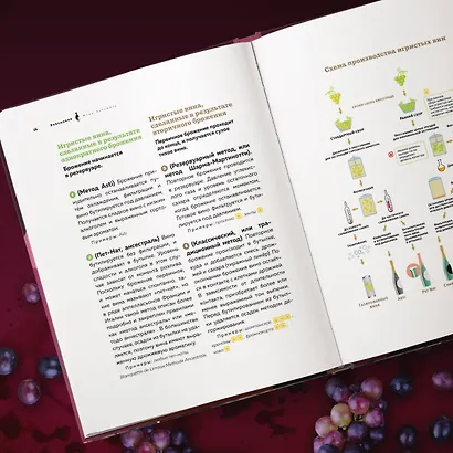 Виномания. Наглядный путеводитель по винному миру - фото 7
