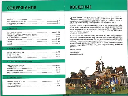 Minecraft. Сельское хозяйство. Первое знакомство - фото 3