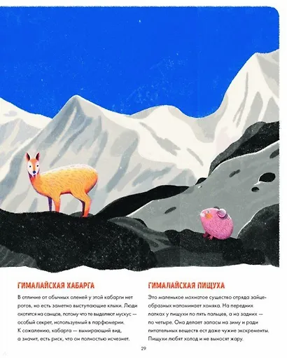 Эверест - фото 6