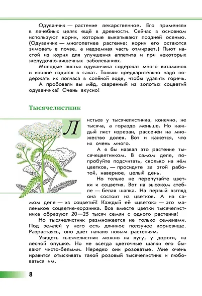 Зеленые страницы. Книга для учащихся начальных классов - фото 7