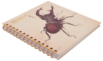 Скетчбук 195*195 40л "Дюрер. Жук-олень" 160г/м2, тв.обложка, спираль - фото 2