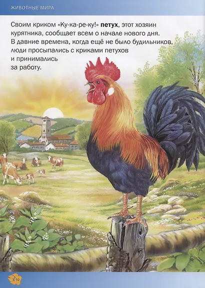 Самая красивая энциклопедия животных - фото 4