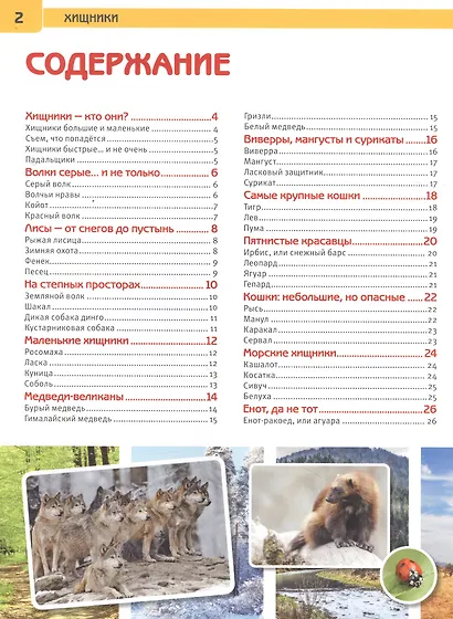 Хищники - фото 2