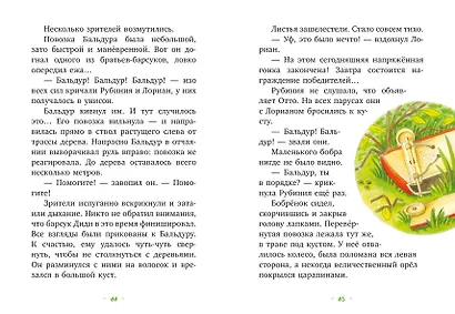 Рубиния чудесное сердце, смелая девочка из рода лесных эльфов. Свет волшебного камня - фото 8