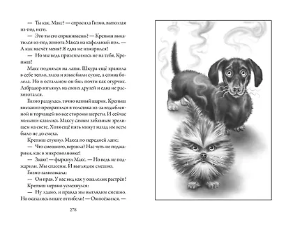 Верные. Книга 2. Тайна трёх колец - фото 8