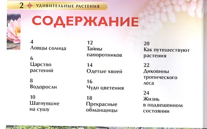 Удивительные растения - фото 2