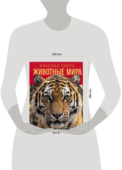 Красная книга. Животные мира - фото 4