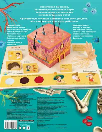 Все секреты человека - фото 2