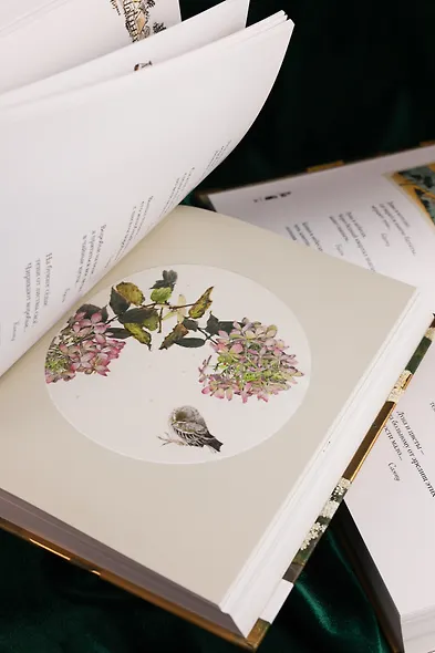 Мир в капле. Сборный комплект в коробе из 2-х книг - фото 13