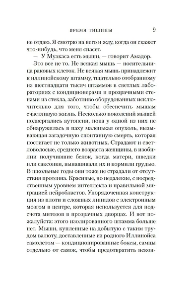 Время тишины - фото 13