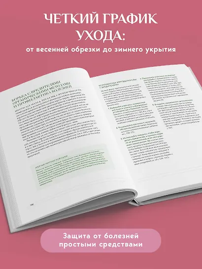 Садовые розы. Полное руководство по выращиванию, уходу и созданию потрясающих букетов - фото 8