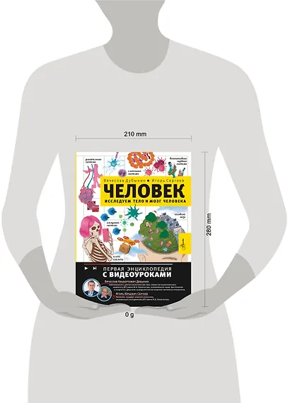 Человек. Исследуем тело и мозг человека - фото 9