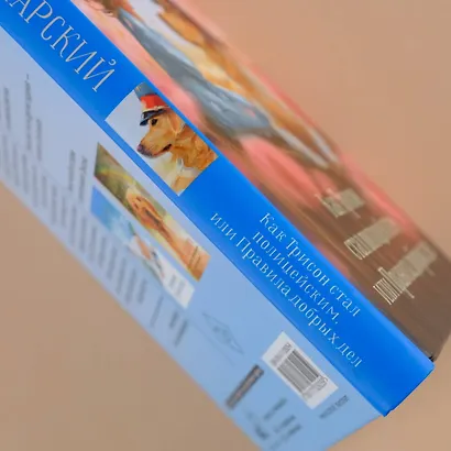 Как Трисон стал полицейским, или Правила добрых дел - фото 5