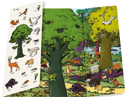 Найди и покажи. На природе - фото 4