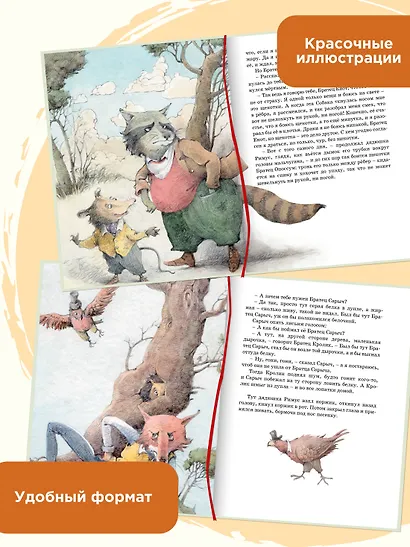 Сказки дядюшки Римуса - фото 5